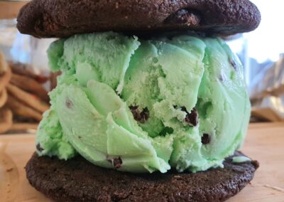 double chocolate mint chip